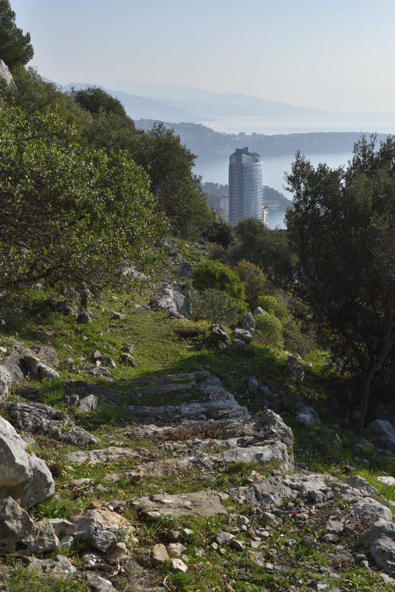 Tour Odéon, Monaco